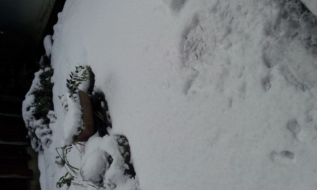 2013-01-01 09.25.07.jpgのサムネール画像